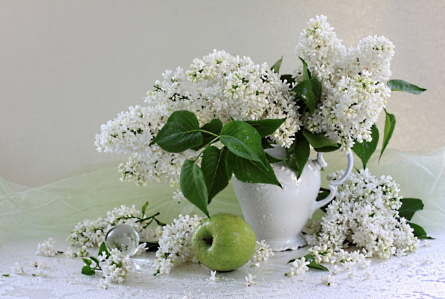Обои картинки фото цветы, сирень, белый, ваза, яблоко