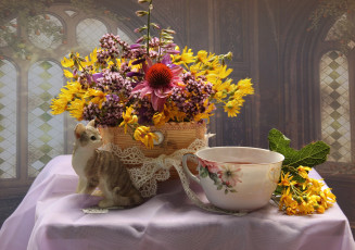 Картинка цветы луговые+ полевые +цветы котенок корзина чашка