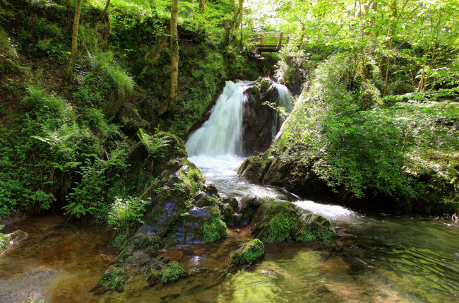 Обои картинки фото германия   лайенкауль, природа, водопады, германия, лайенкауль, водопад, трава, камни, кусты