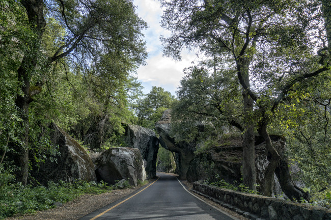 Обои картинки фото природа, дороги, арка, шоссе, лес