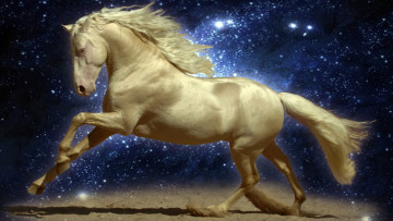 Картинка животные лошади песок космос галоп конь изабелловый