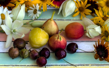 Картинка еда фрукты +ягоды вишни груши крыжовник слива