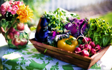 обоя еда, овощи, редис, перец, салат