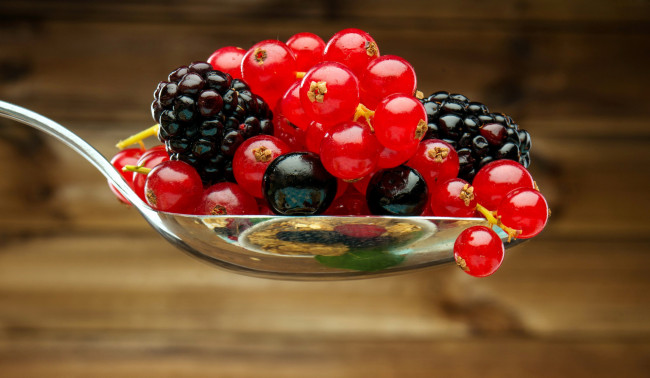 Обои картинки фото еда, фрукты,  ягоды, ежевика, красная, смородина