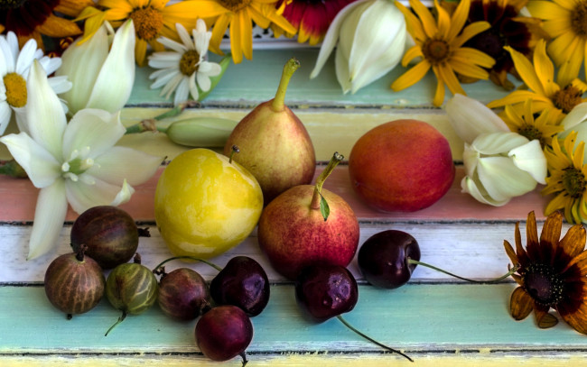 Обои картинки фото еда, фрукты,  ягоды, вишни, груши, крыжовник, слива