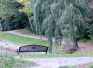 Картинка природа парк скамейка деревья аллея