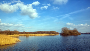 Картинка природа реки озера островок деревья озеро