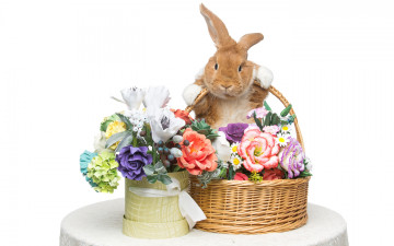 Картинка животные кролики +зайцы цветы flowers spring eggs кролик happy rabbit