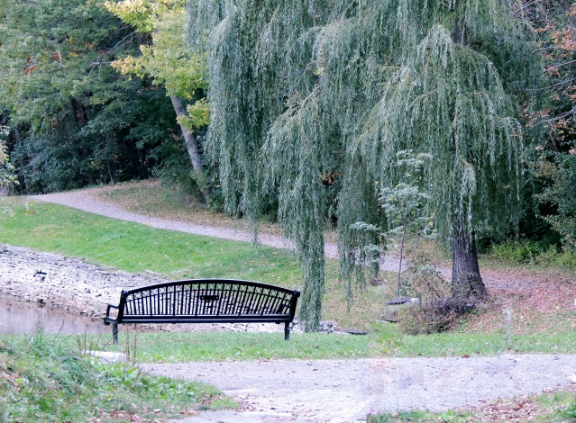 Обои картинки фото природа, парк, скамейка, деревья, аллея