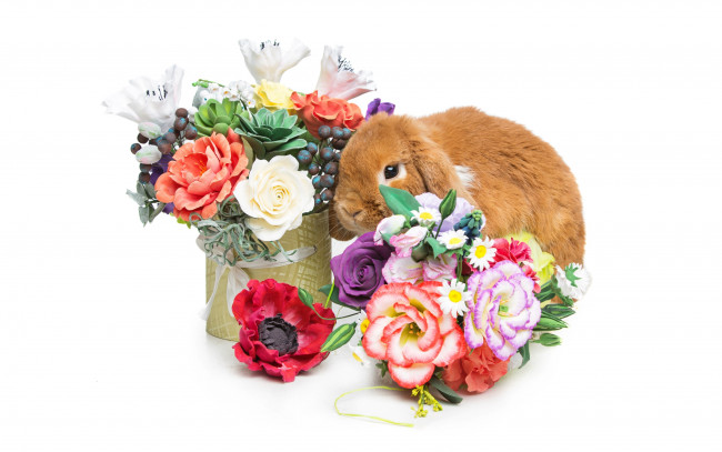 Обои картинки фото животные, кролики,  зайцы, цветы, flowers, spring, eggs, кролик, happy, rabbit