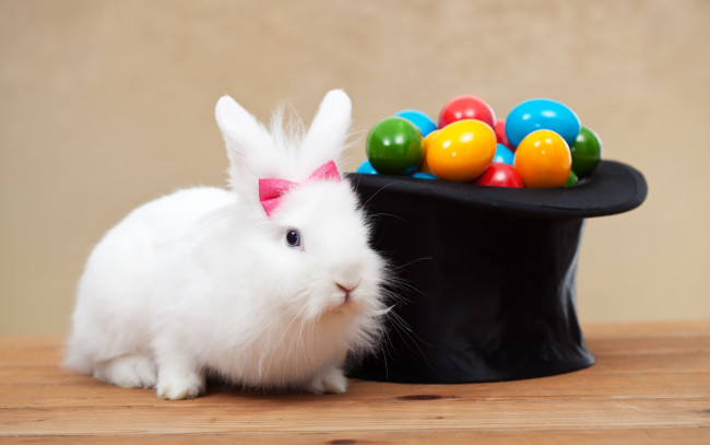 Обои картинки фото животные, кролики,  зайцы, праздник, кролик, белый, шляпа, spring, eggs, цилиндр