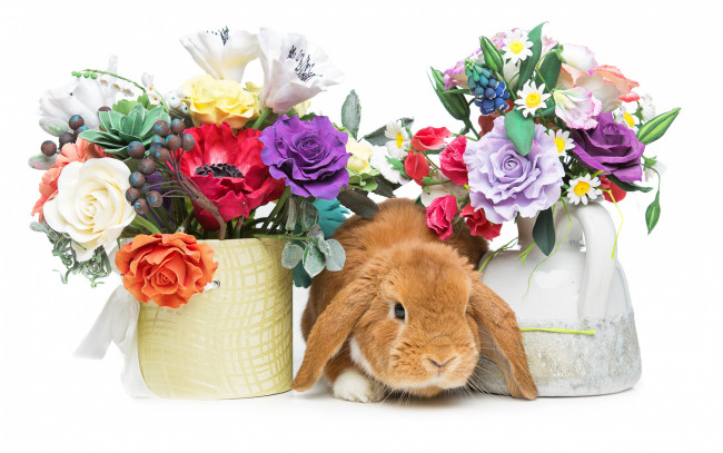 Обои картинки фото животные, кролики,  зайцы, spring, eggs, кролик, happy, rabbit, flowers, цветы