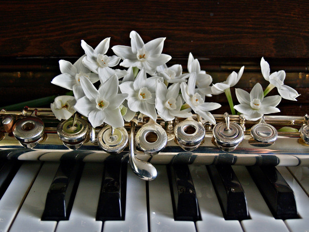 Обои картинки фото музыка, -музыкальные инструменты, клавиши, пианино, цветы