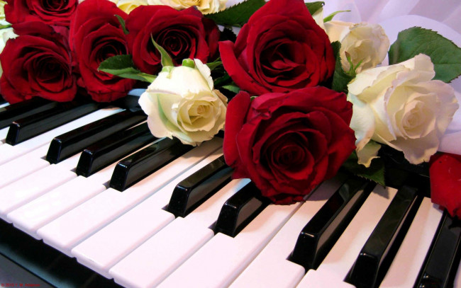 Обои картинки фото музыка, -музыкальные инструменты, клавиши, пианино, цветы