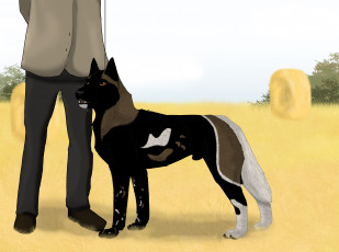 Картинка рисованное животные +собаки собака