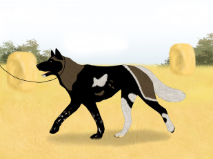 Картинка рисованное животные +собаки собака