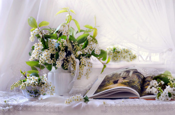 обоя цветы, черемуха, книга, букет