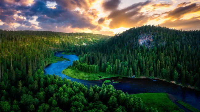 Обои картинки фото природа, реки, озера, лес, лето, река