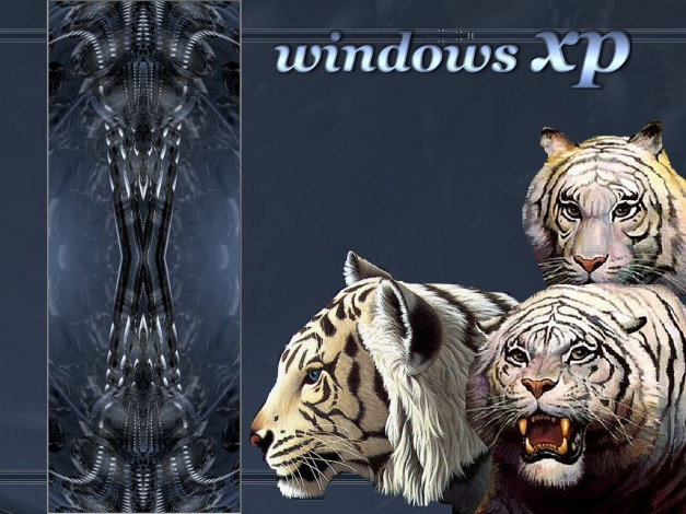 Обои картинки фото tiger, компьютеры, windows, xp