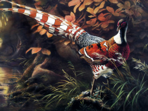Картинка 36 рисованные животные птицы