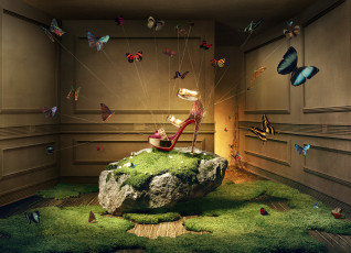 Картинка разное компьютерный дизайн камень туфля бабочки нити
