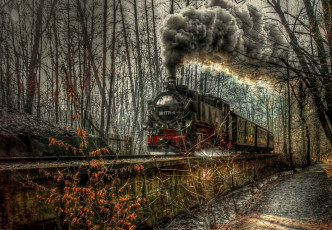 Картинка train техника паровозы лес состав паровоз