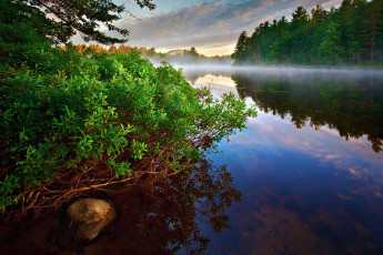 Картинка early morning природа реки озера река утро туман лес
