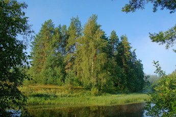 Картинка на керженце природа реки озера лес утро реке