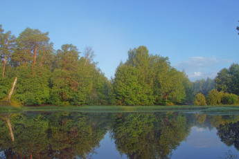 Картинка утро на керженце природа реки озера лес река