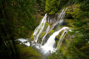 Картинка природа водопады usa washington panther creek falls деревья вода сша водопад пантера крик лес