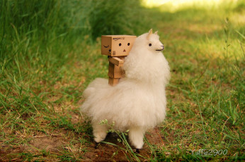 обоя разное, данбо, danboard