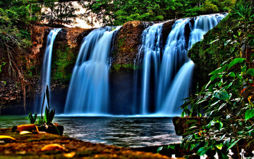 обоя forest, falls, природа, водопады, лесной, водопад
