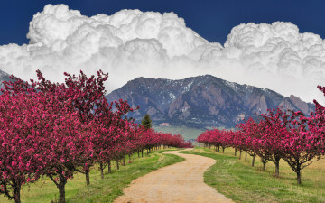 Картинка природа дороги дорога сад горы облака