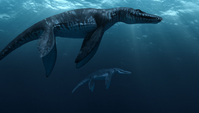 Обои картинки фото sea, rex, 3д, графика, animals, животные, море, динозавр