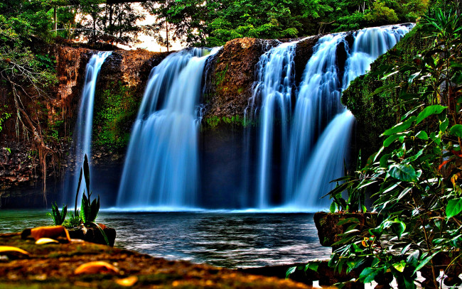 Обои картинки фото forest, falls, природа, водопады, лесной, водопад