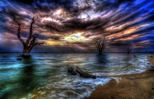 Обои картинки фото la, tempesta, природа, побережье, прилив, деревья, тучи, сумрак