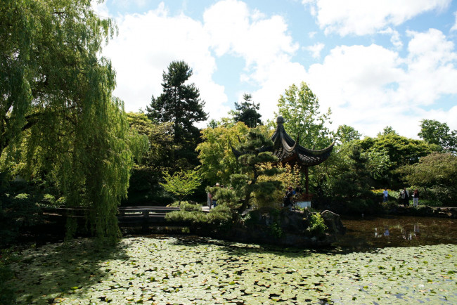 Обои картинки фото chinese, gardens, канада, vancouver, природа, парк