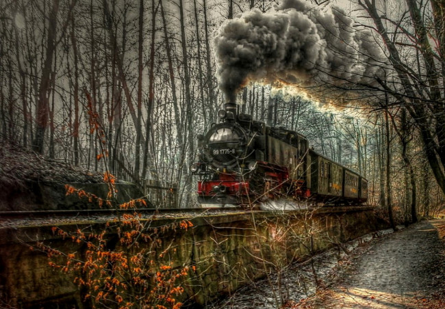 Обои картинки фото train, техника, паровозы, лес, состав, паровоз