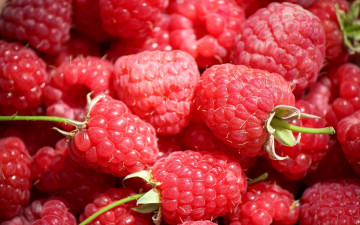 Картинка еда малина лето ягоды