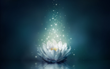 Картинка разное компьютерный+дизайн вода лотос цветок bloom flower water lily сияние sparkle