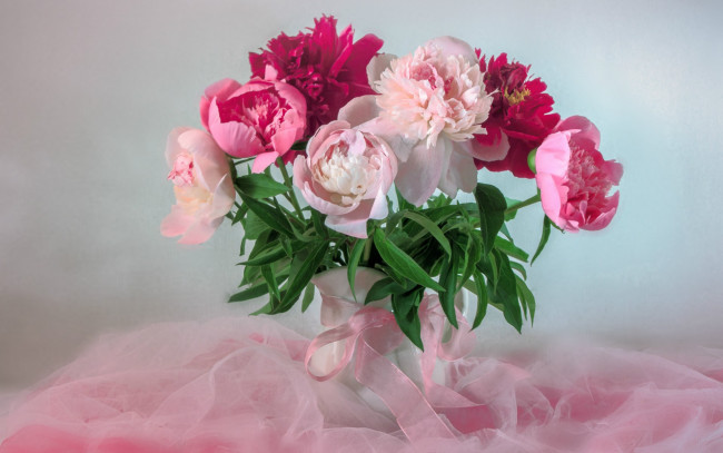 Обои картинки фото цветы, пионы, букет, нежность, розовый