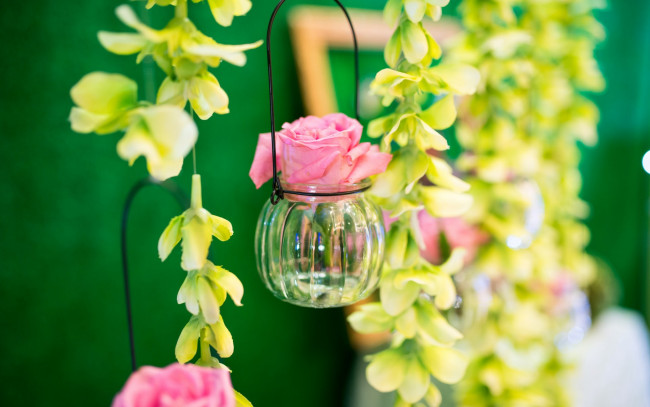 Обои картинки фото цветы, разные вместе, баночка, бутон, роза