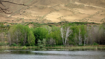 Картинка природа реки озера холм озеро лес