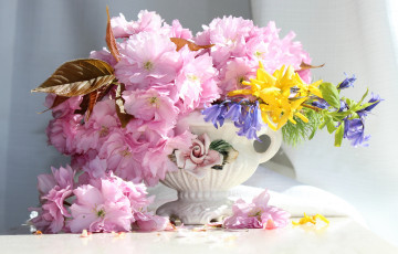 Картинка цветы букеты +композиции вишня сакура лепестки ваза букет колокольчики форзиция