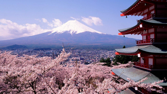 Обои картинки фото города, - панорамы, весна, пагода, панорама, город, Япония, сакура, цветение, фудзияма, гора