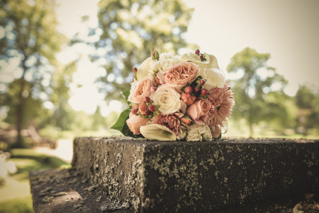 Обои картинки фото цветы, букеты,  композиции, розы, свадебный, букет