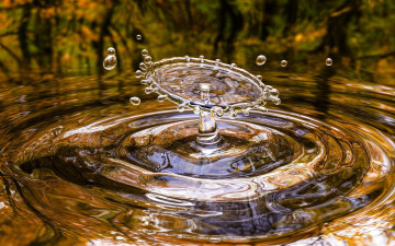 Картинка природа вода капли брызги падают креатив отражение