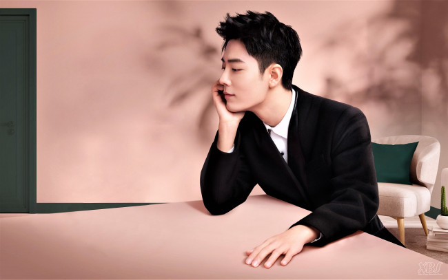 Обои картинки фото мужчины, xiao zhan, актер, пиджак, стол, кресла, подушки
