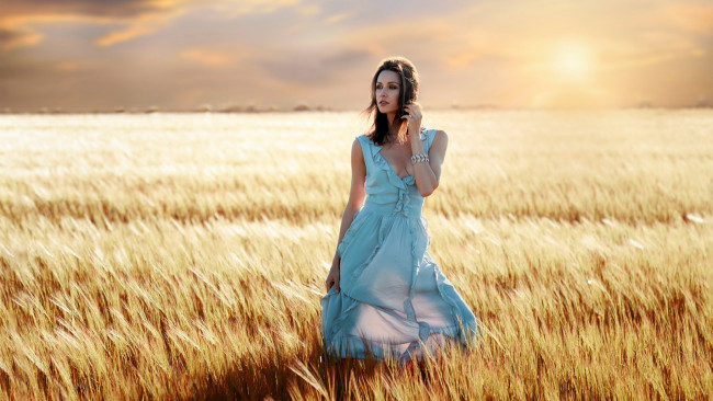 Обои картинки фото девушки, olga alberti, поле, колосья, брюнетка, платье, браслет