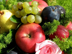Картинка еда фрукты ягоды роза виноград груша яблоки сливы